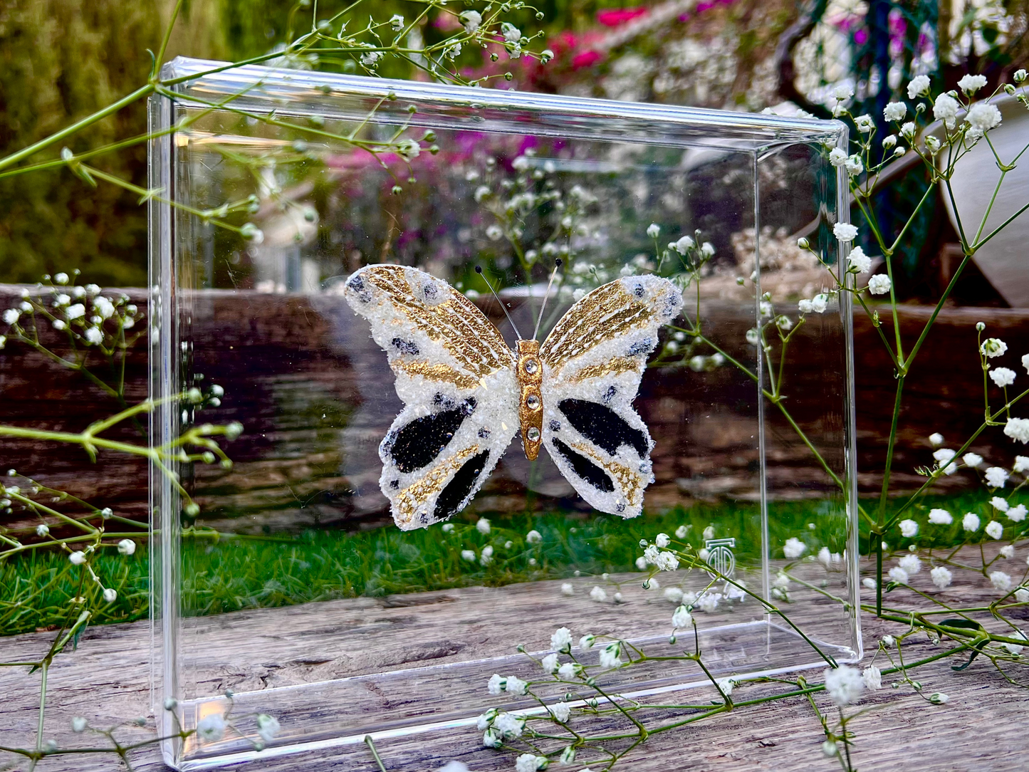 METAMORPHOSIS | #1