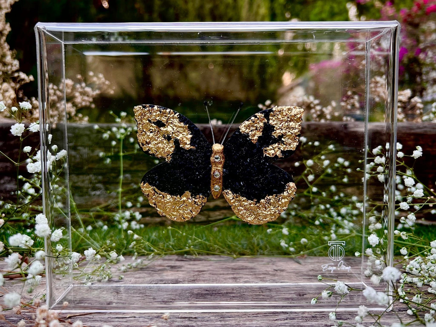 METAMORPHOSIS | #9