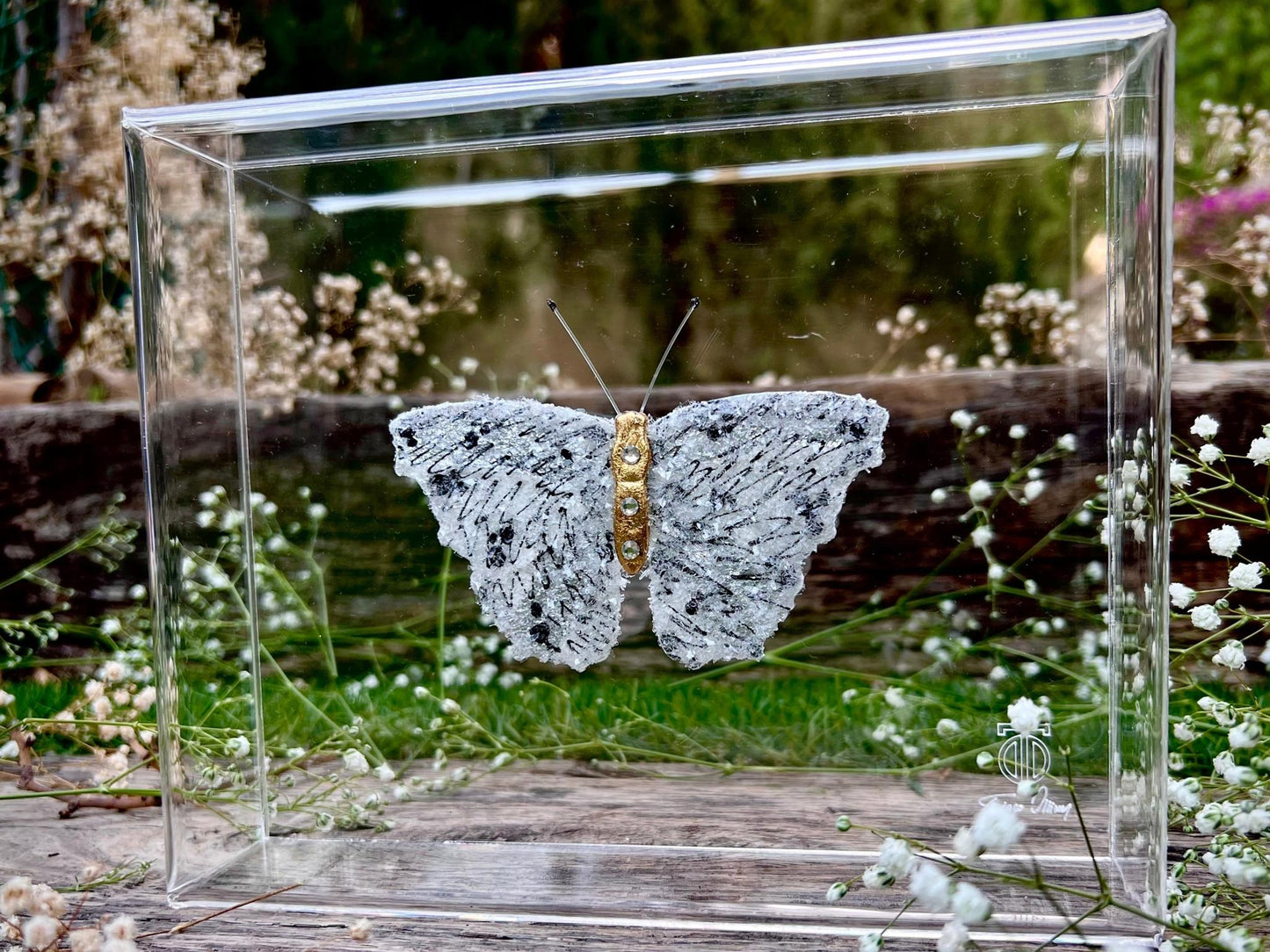 METAMORPHOSIS | #29