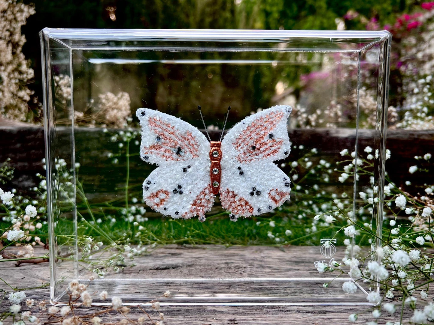 METAMORPHOSIS | #38