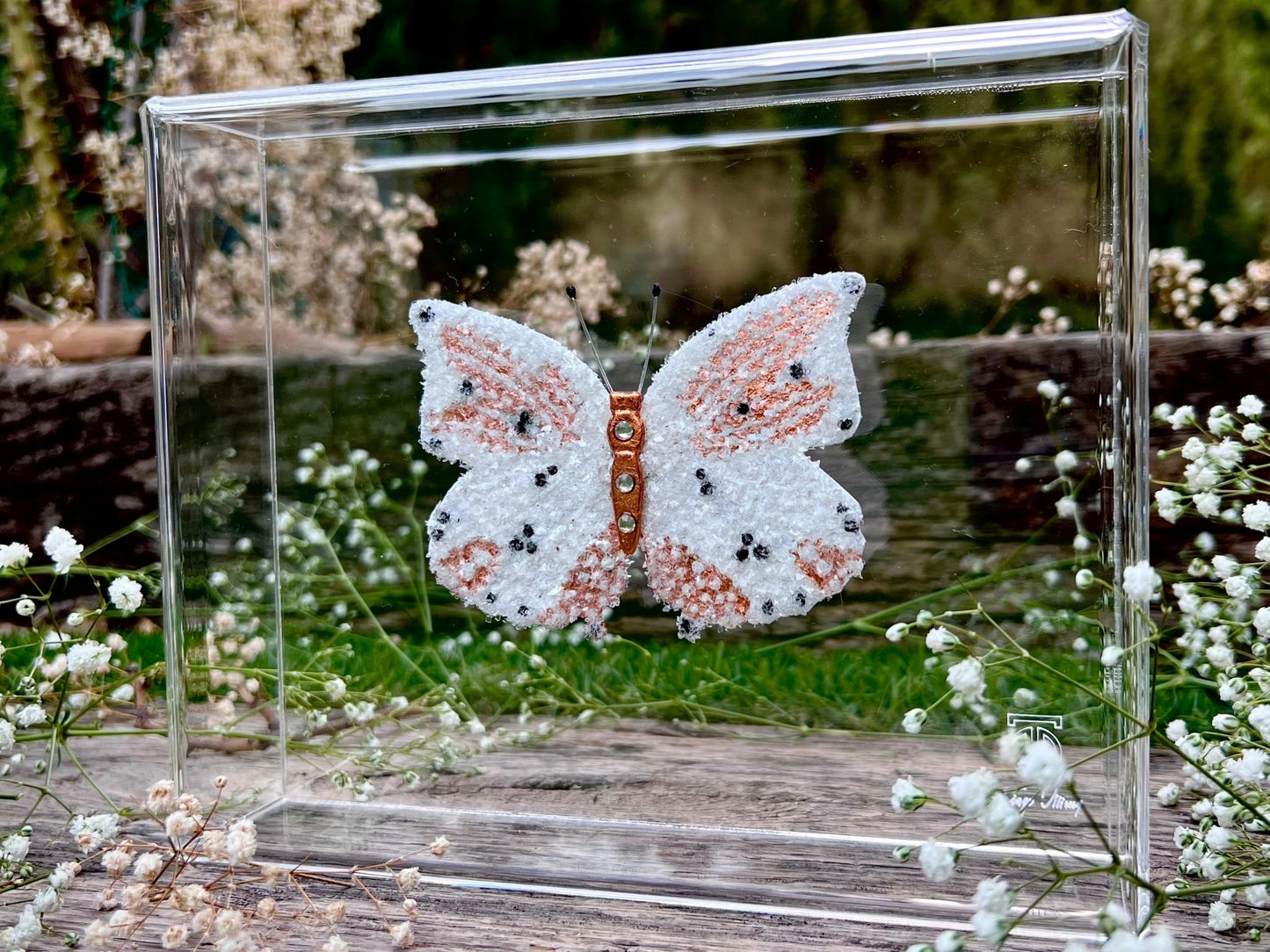 METAMORPHOSIS | #38