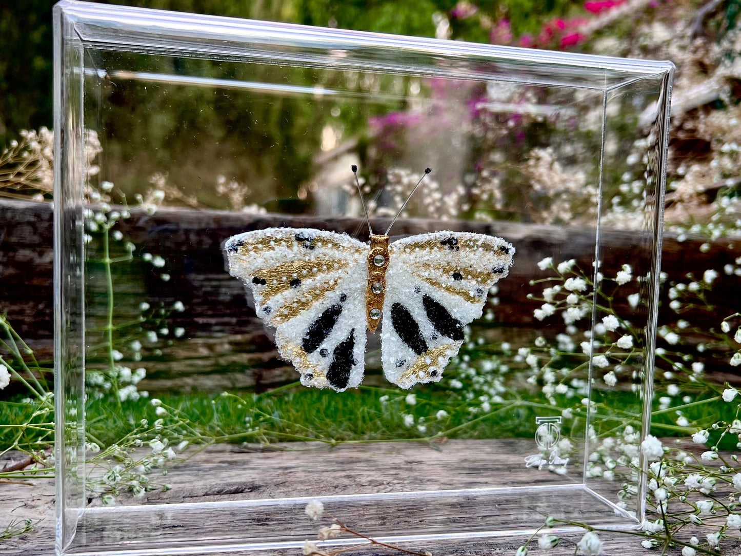 METAMORPHOSIS | #4