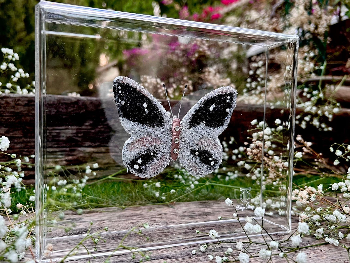METAMORPHOSIS | #61