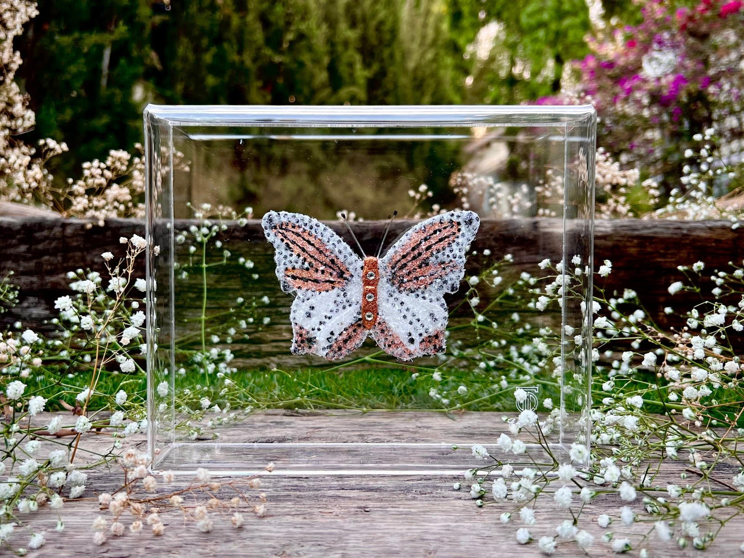 METAMORPHOSIS | #45
