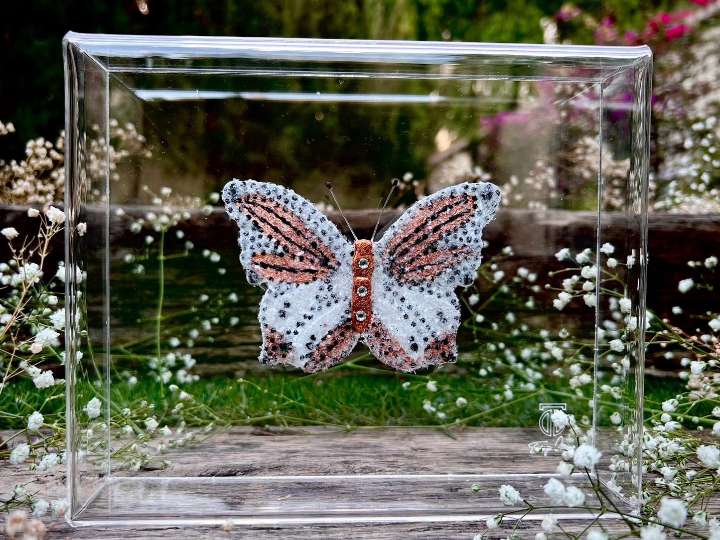 METAMORPHOSIS | #45