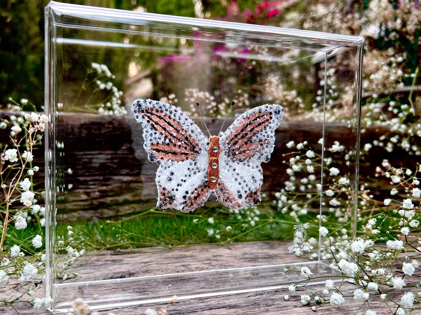 METAMORPHOSIS | #45
