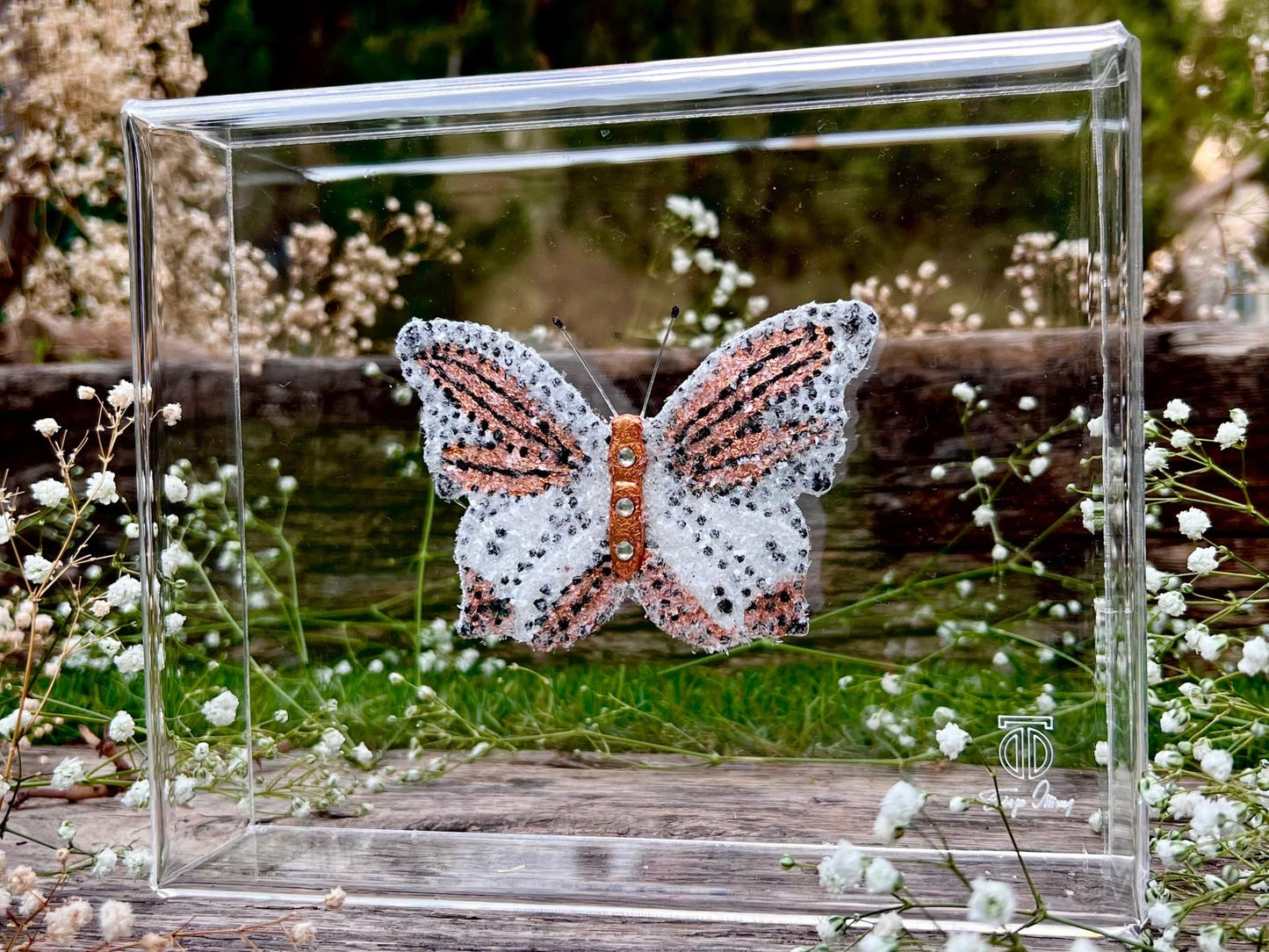 METAMORPHOSIS | #45
