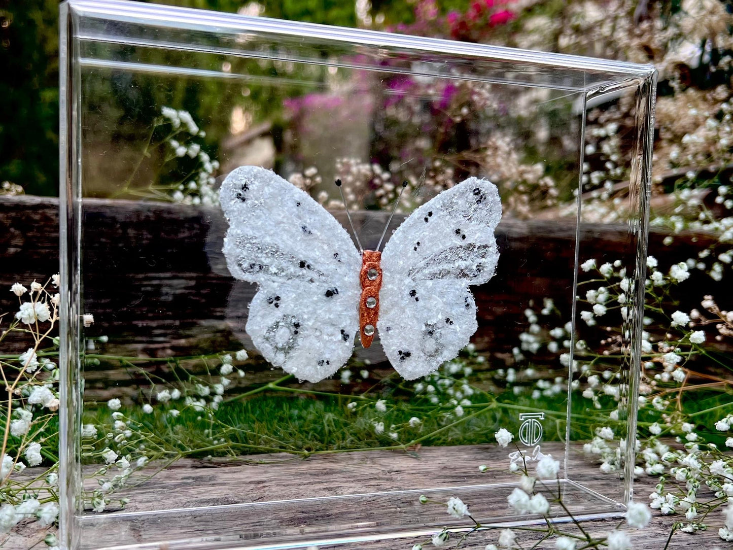 METAMORPHOSIS | #27
