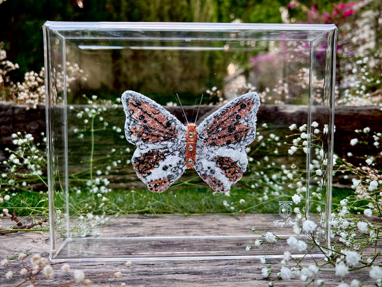 METAMORPHOSIS | #40