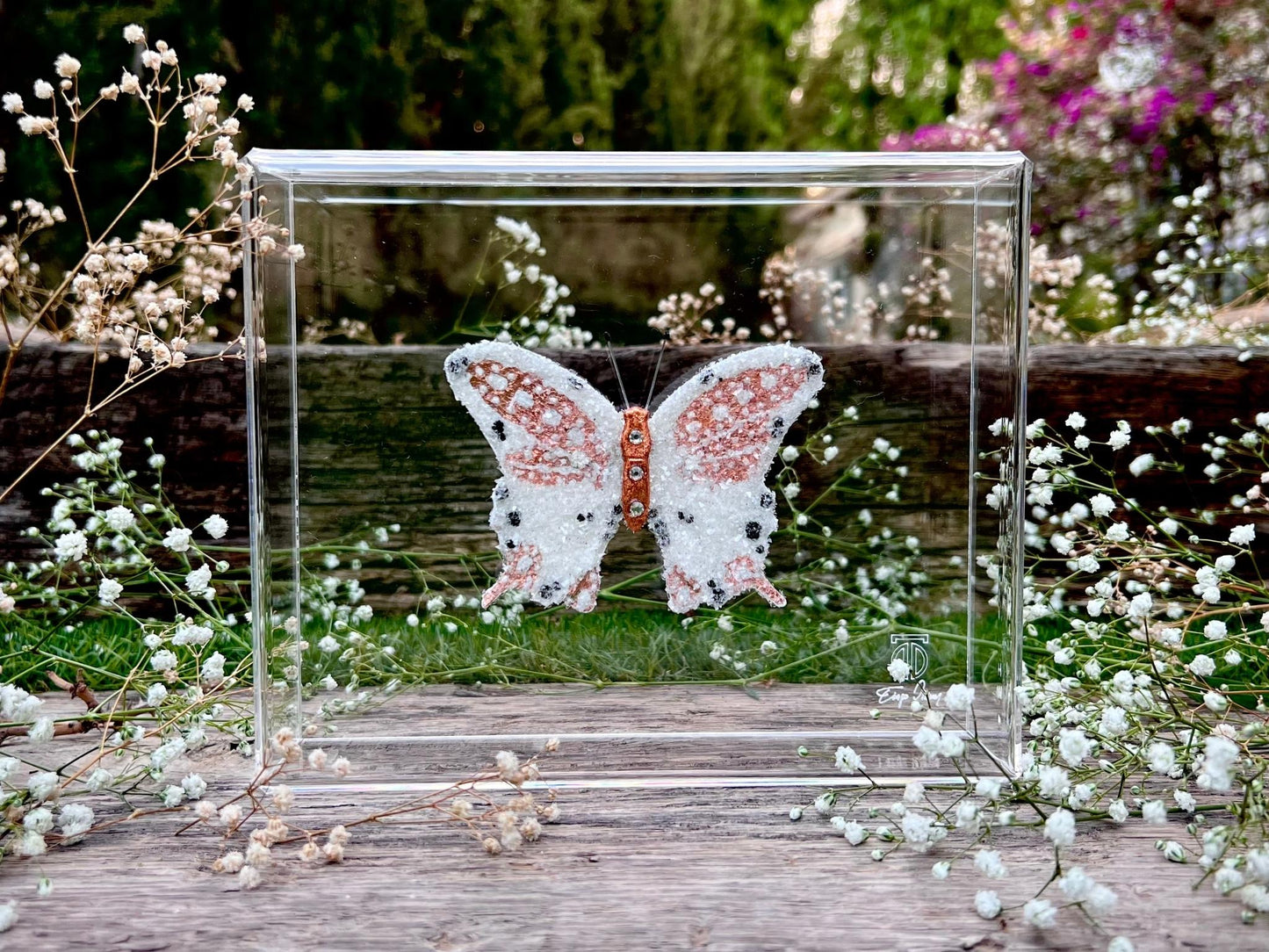 METAMORPHOSIS | #30