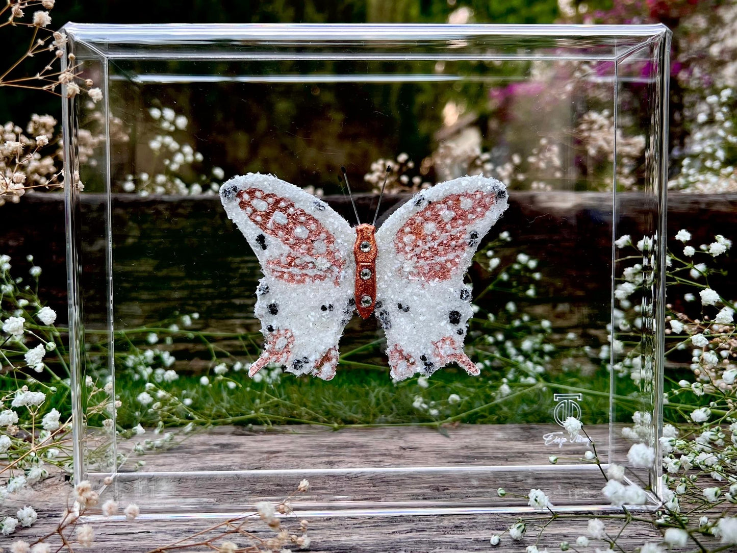 METAMORPHOSIS | #30