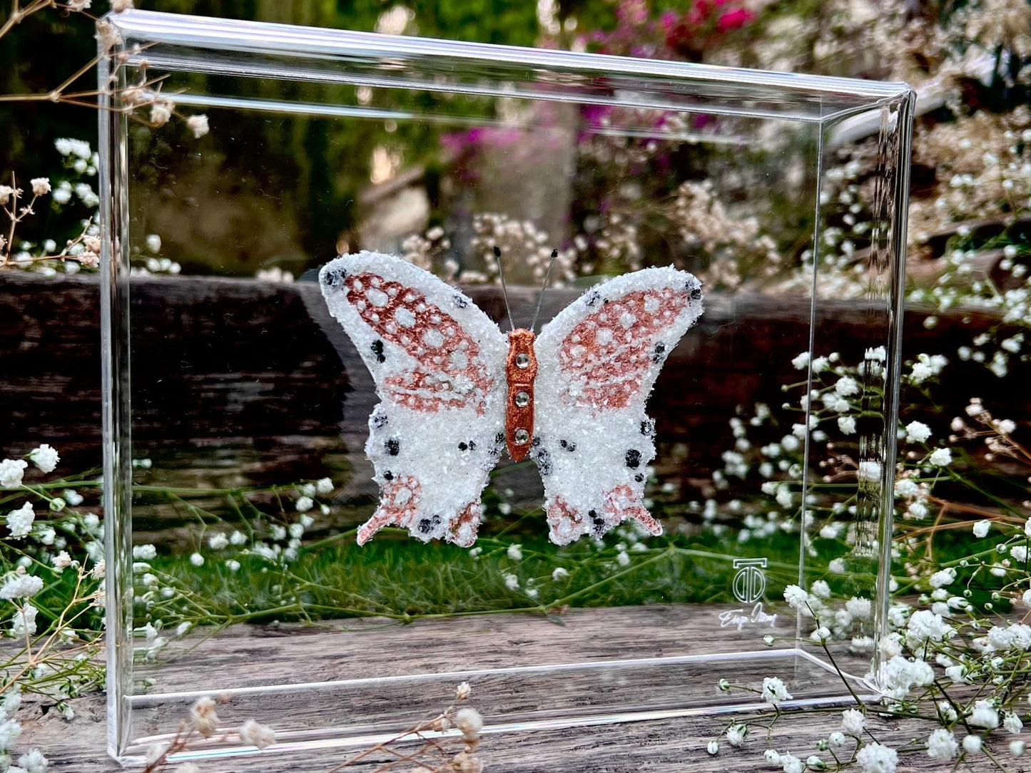 METAMORPHOSIS | #30