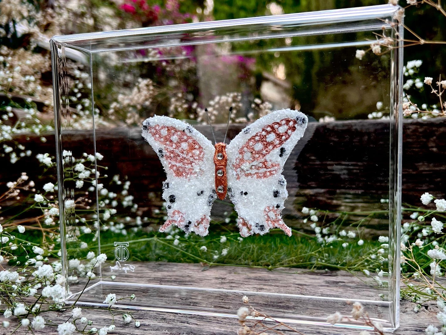 METAMORPHOSIS | #30