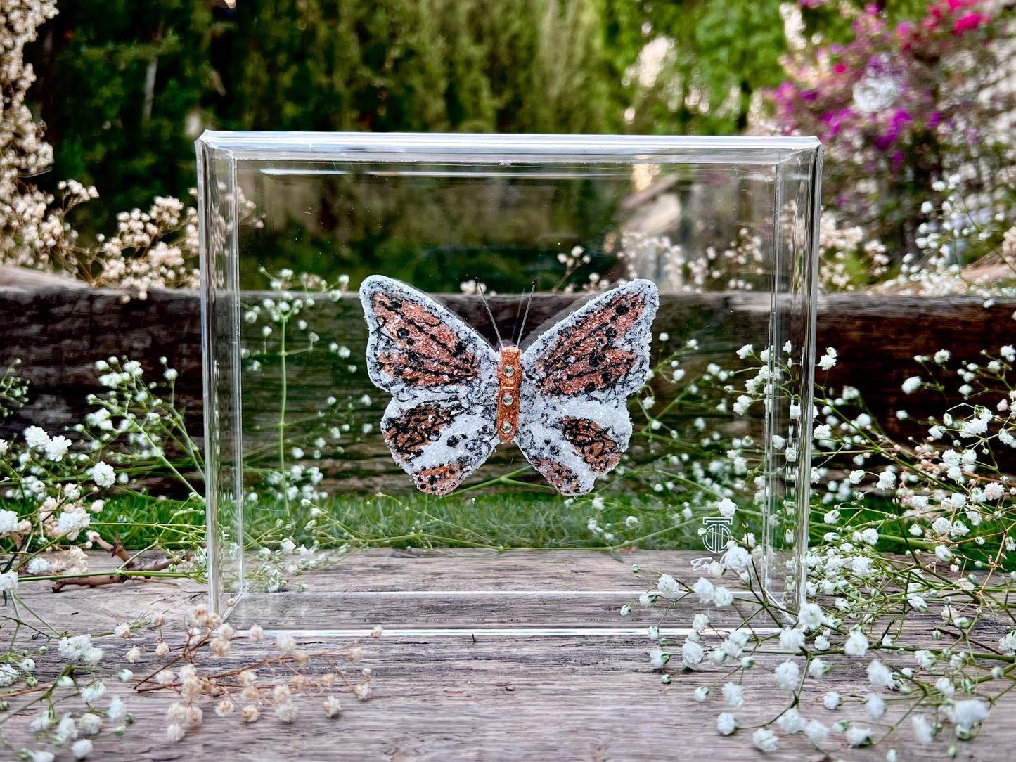 METAMORPHOSIS | #40