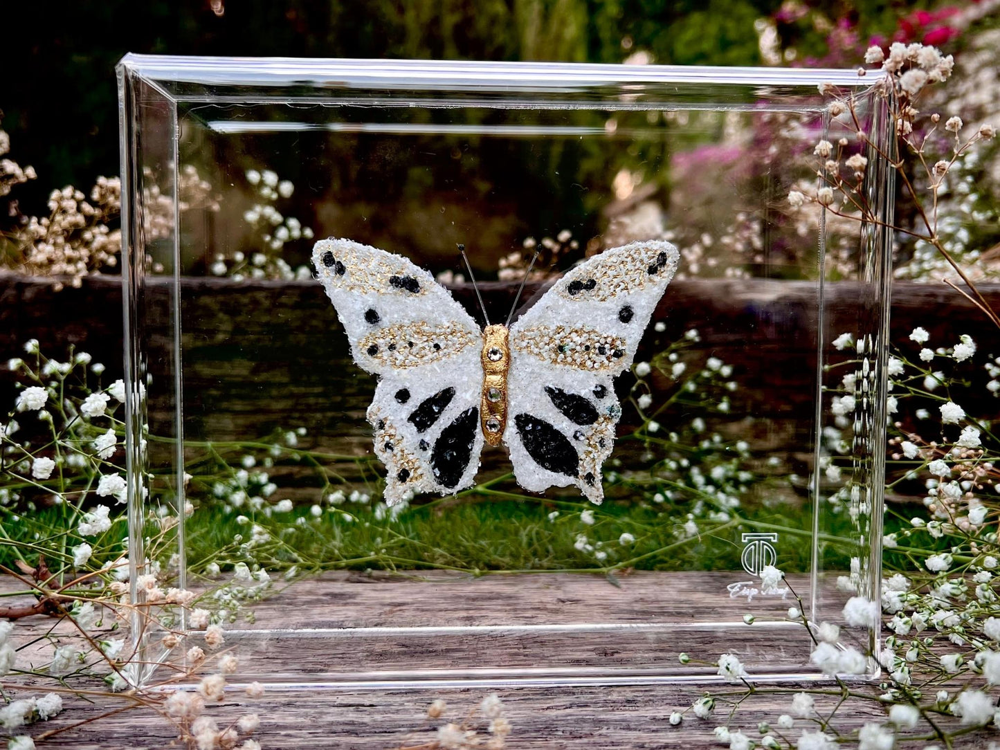 METAMORPHOSIS | #7