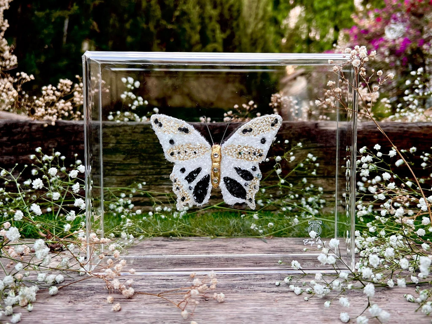 METAMORPHOSIS | #7
