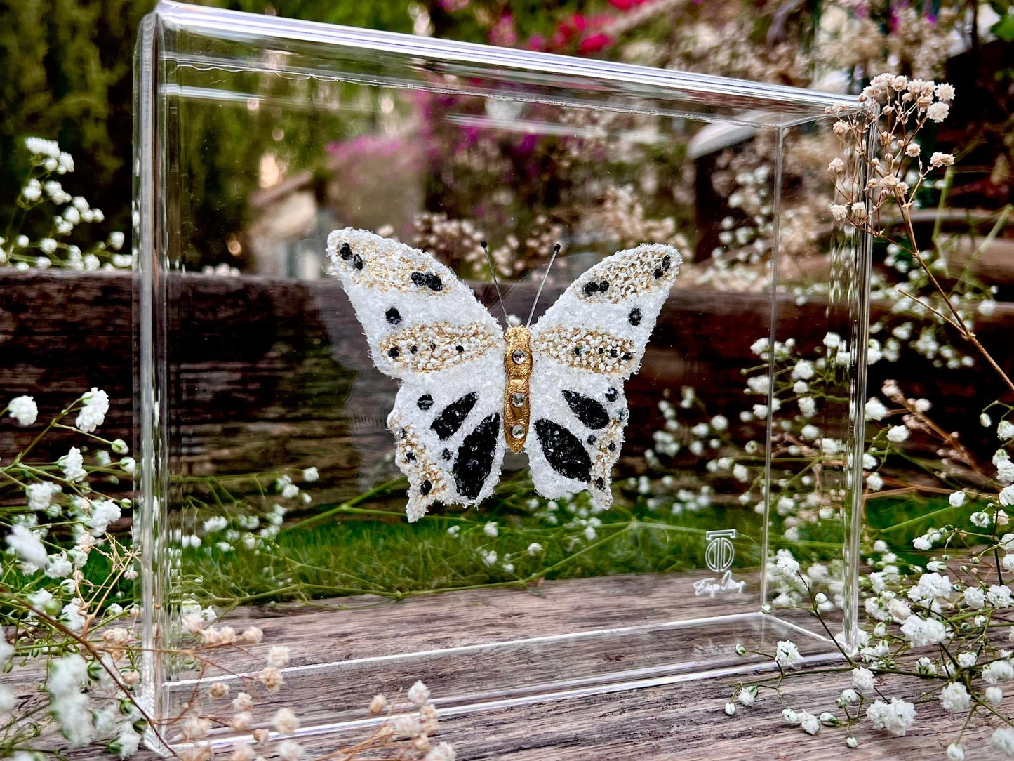 METAMORPHOSIS | #7