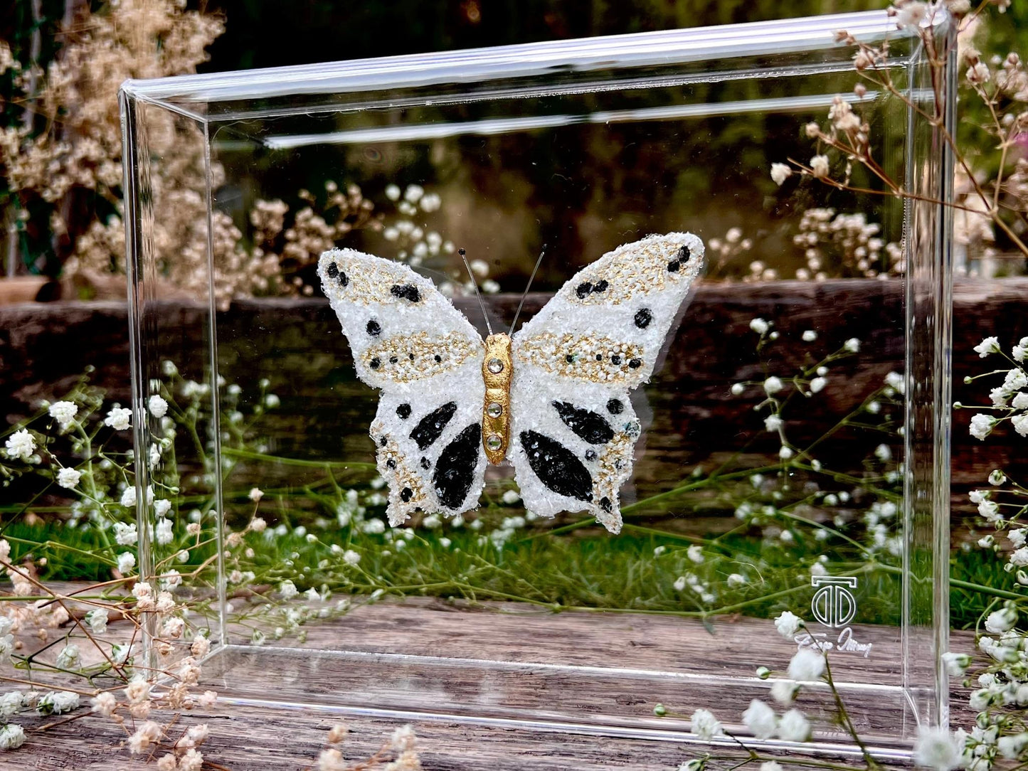 METAMORPHOSIS | #7