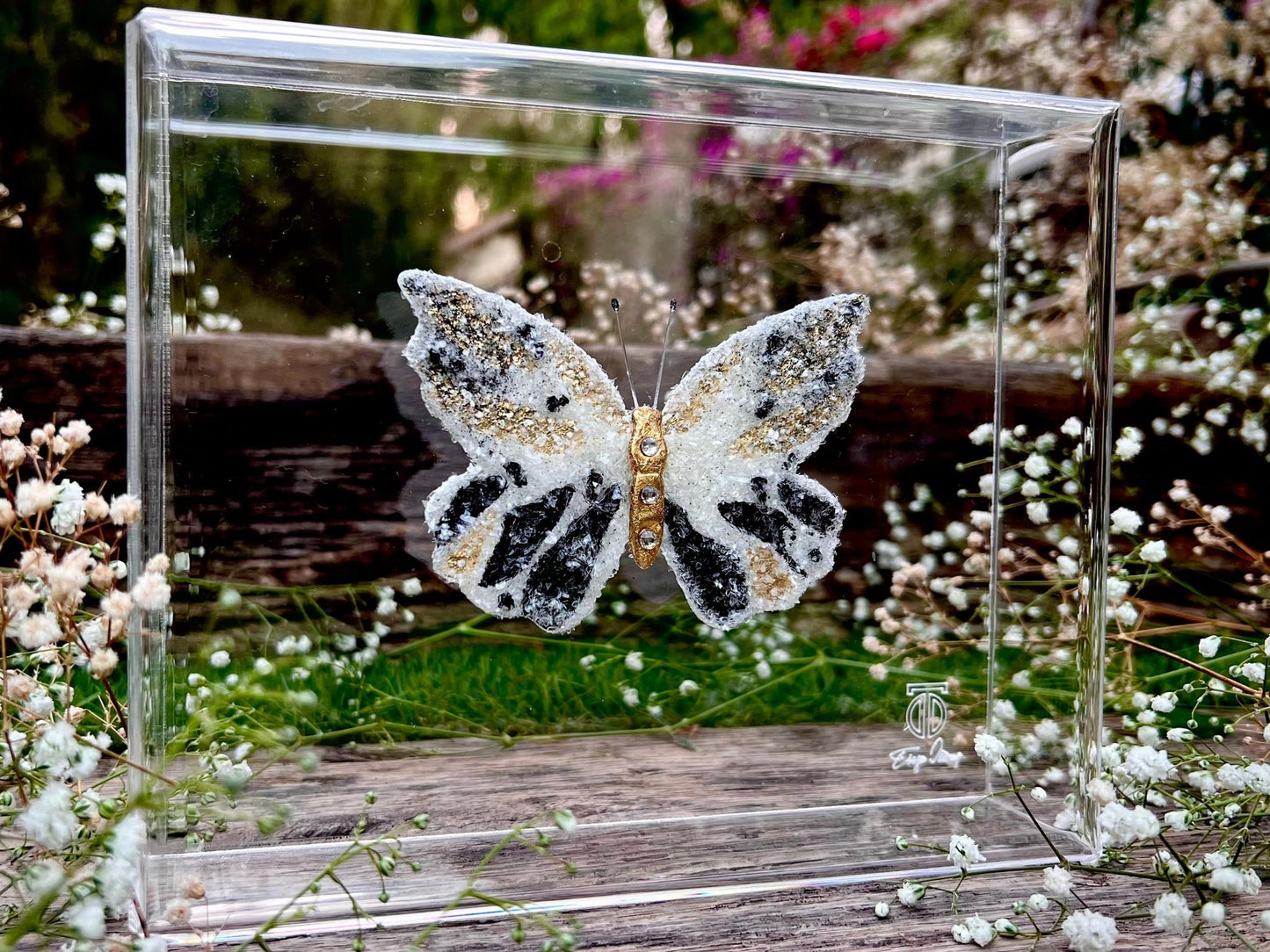 METAMORPHOSIS | #6