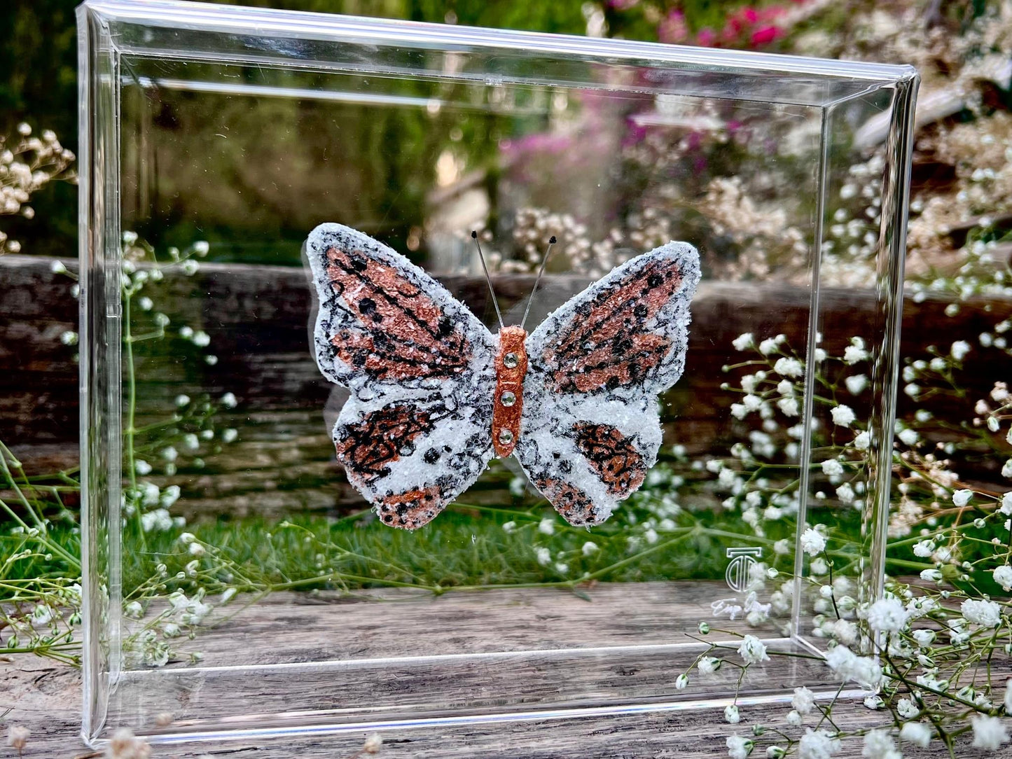 METAMORPHOSIS | #40