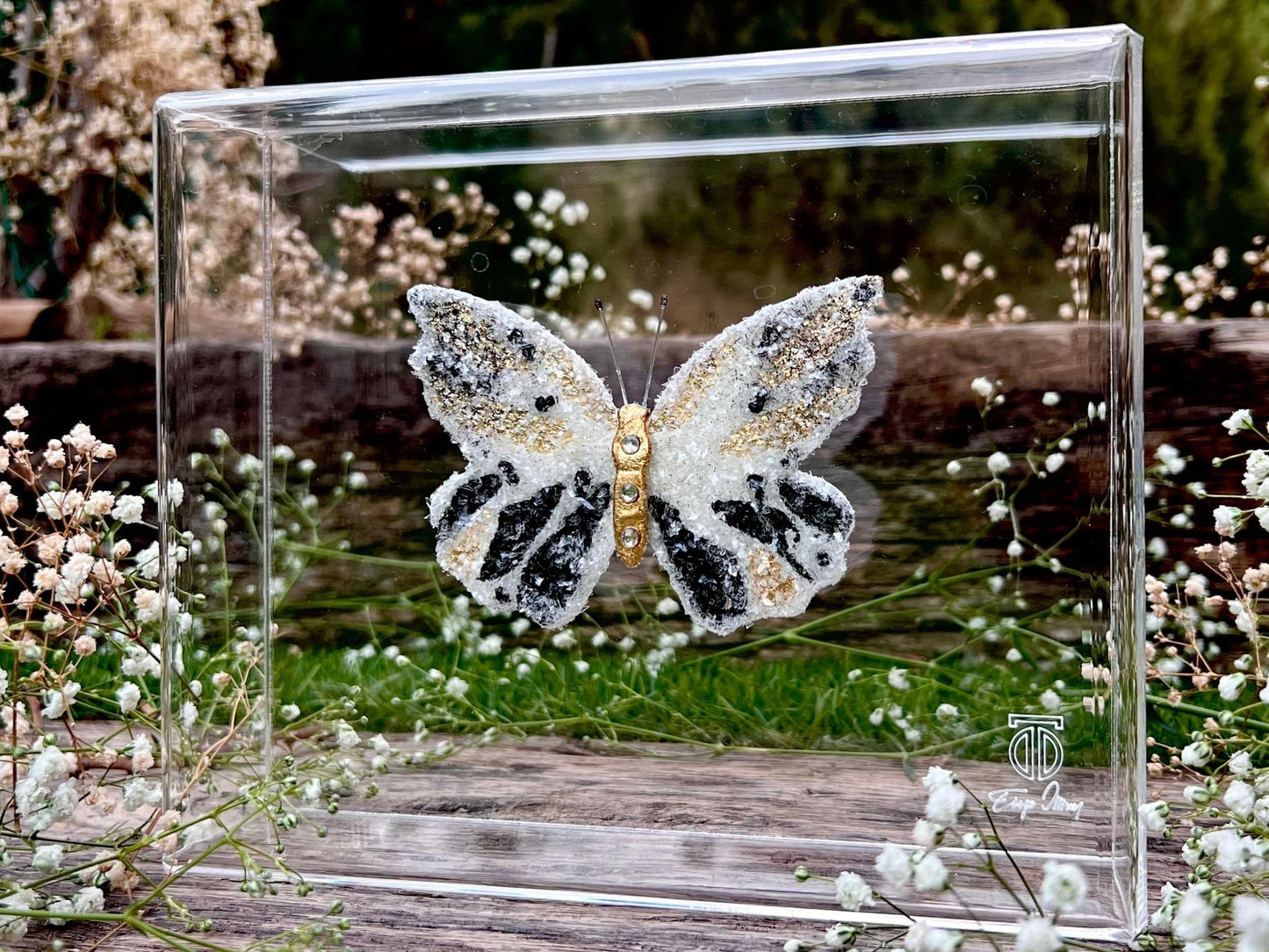 METAMORPHOSIS | #6