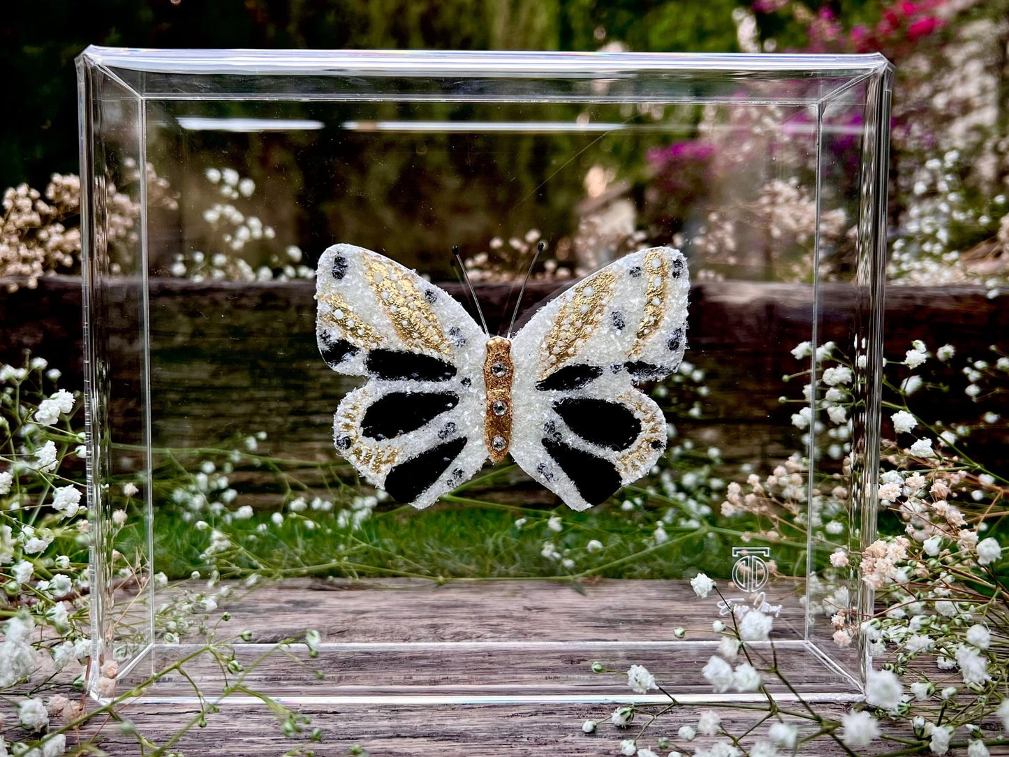 METAMORPHOSIS | #8