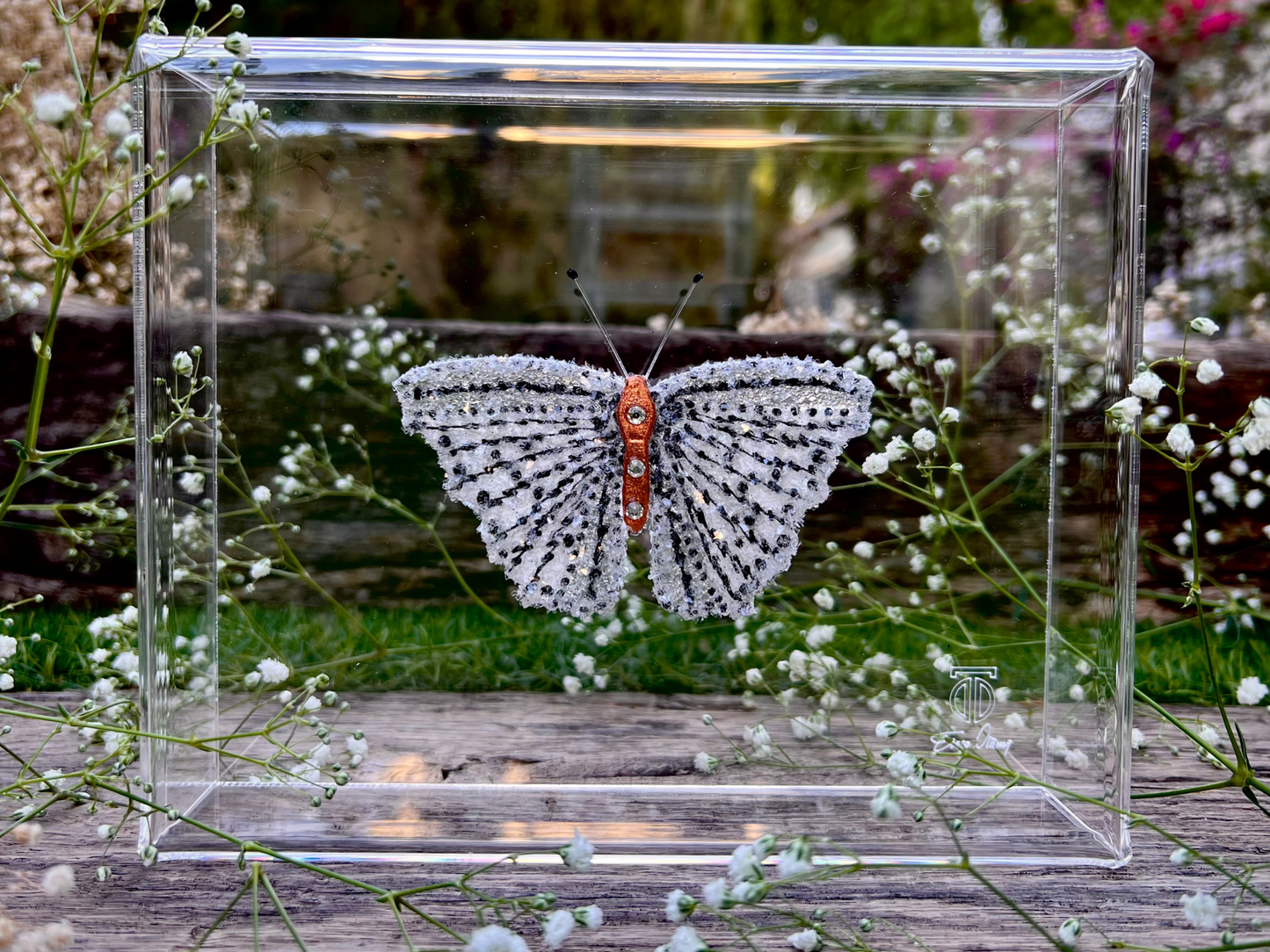 METAMORPHOSIS | #21
