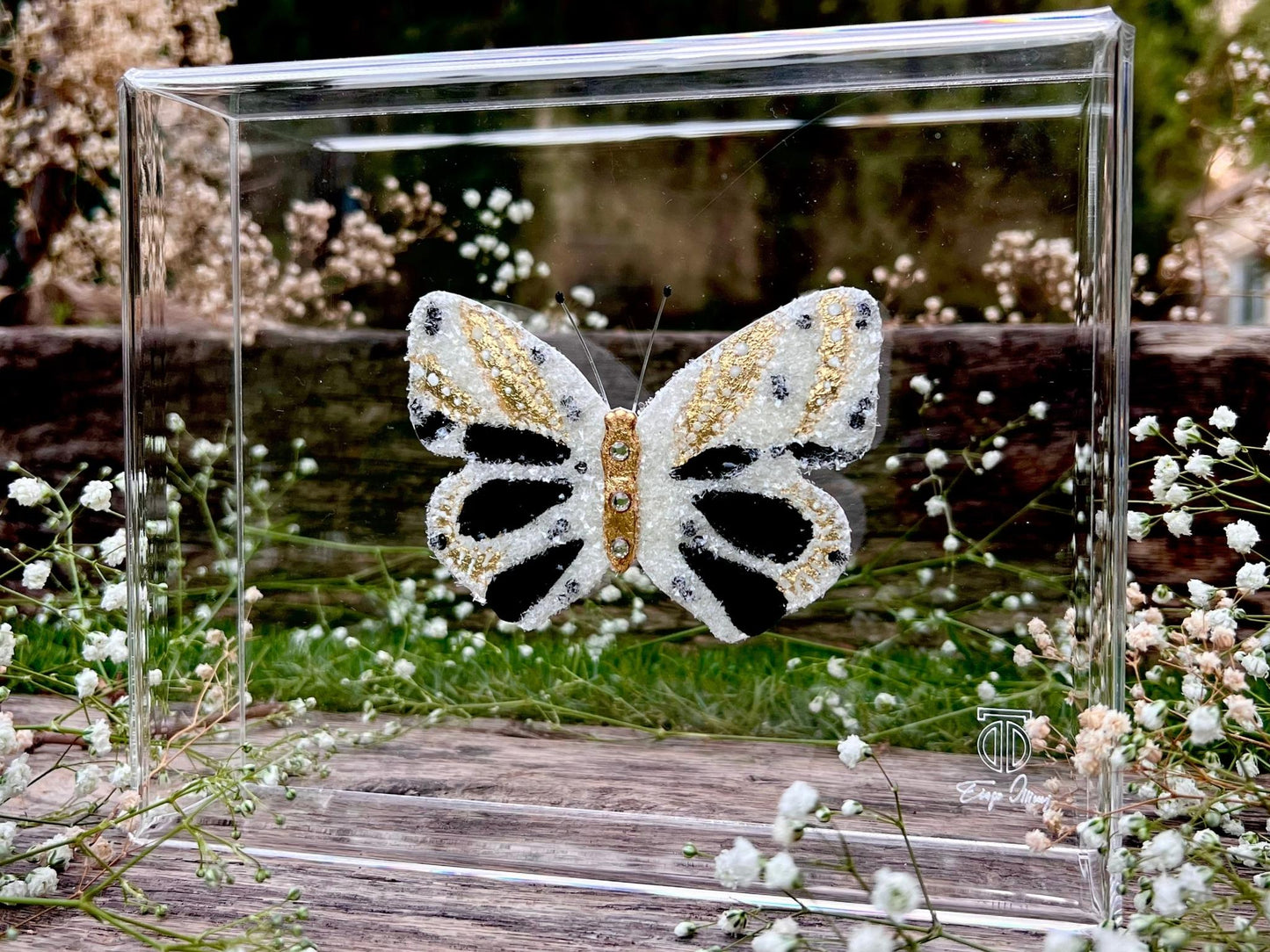 METAMORPHOSIS | #8