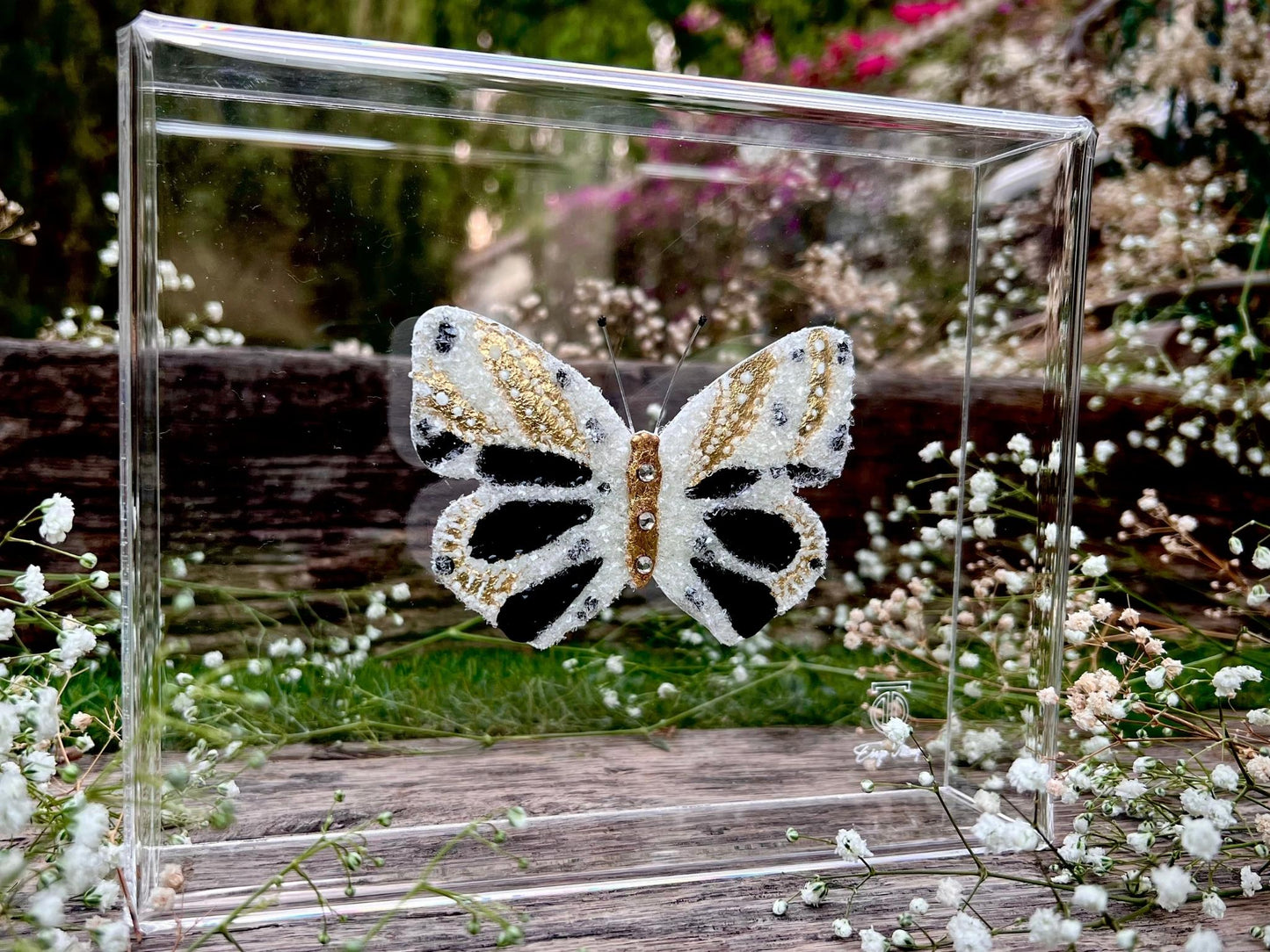 METAMORPHOSIS | #8