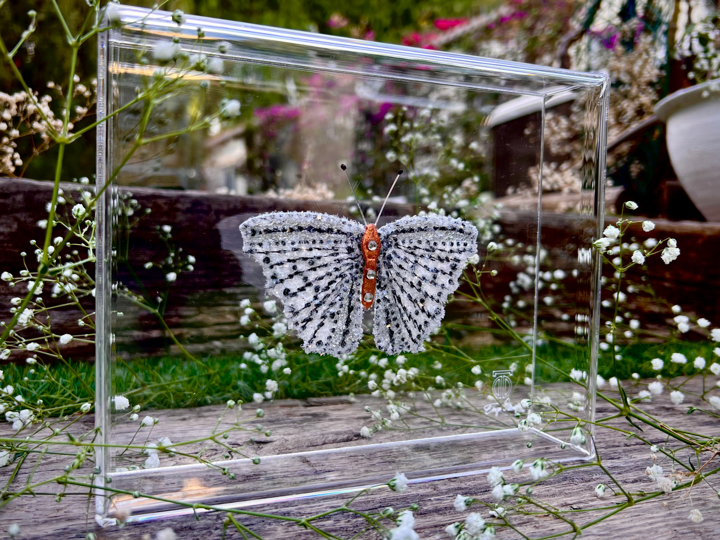 METAMORPHOSIS | #21
