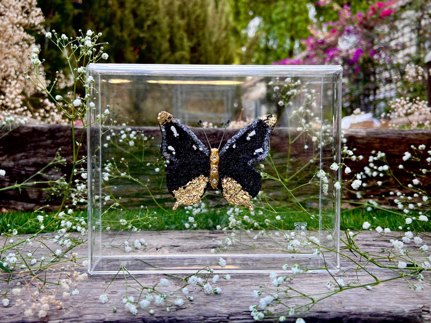 METAMORPHOSIS | #11
