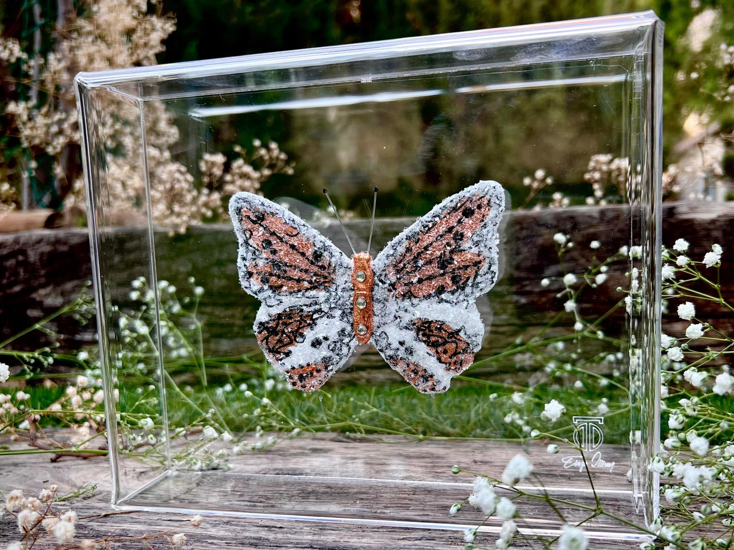 METAMORPHOSIS | #40
