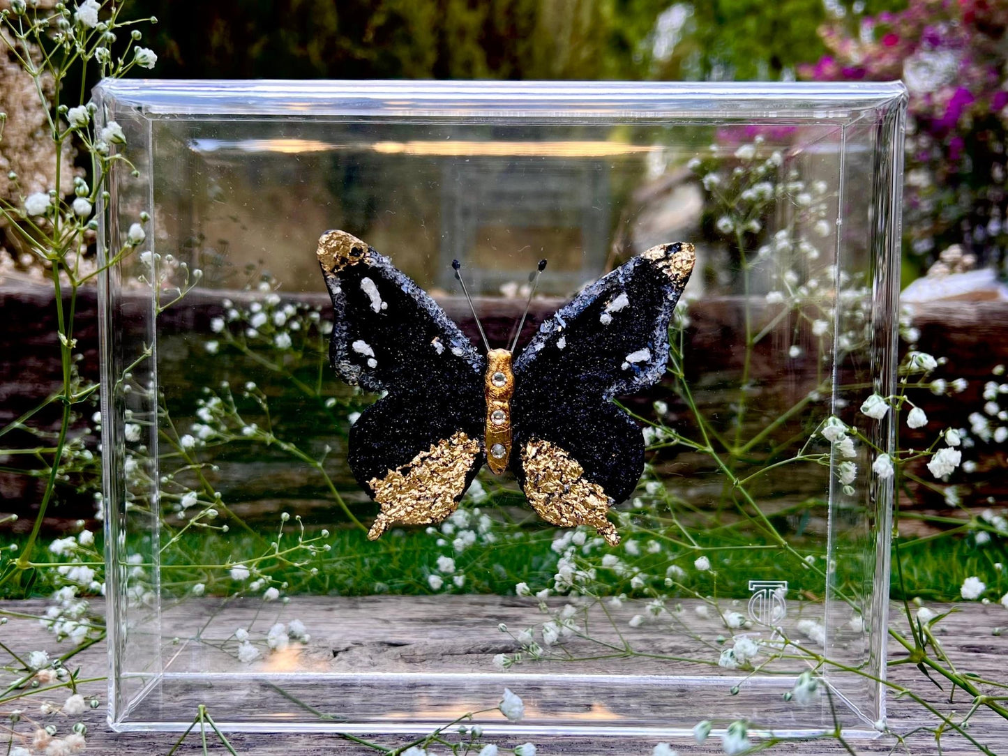 METAMORPHOSIS | #11