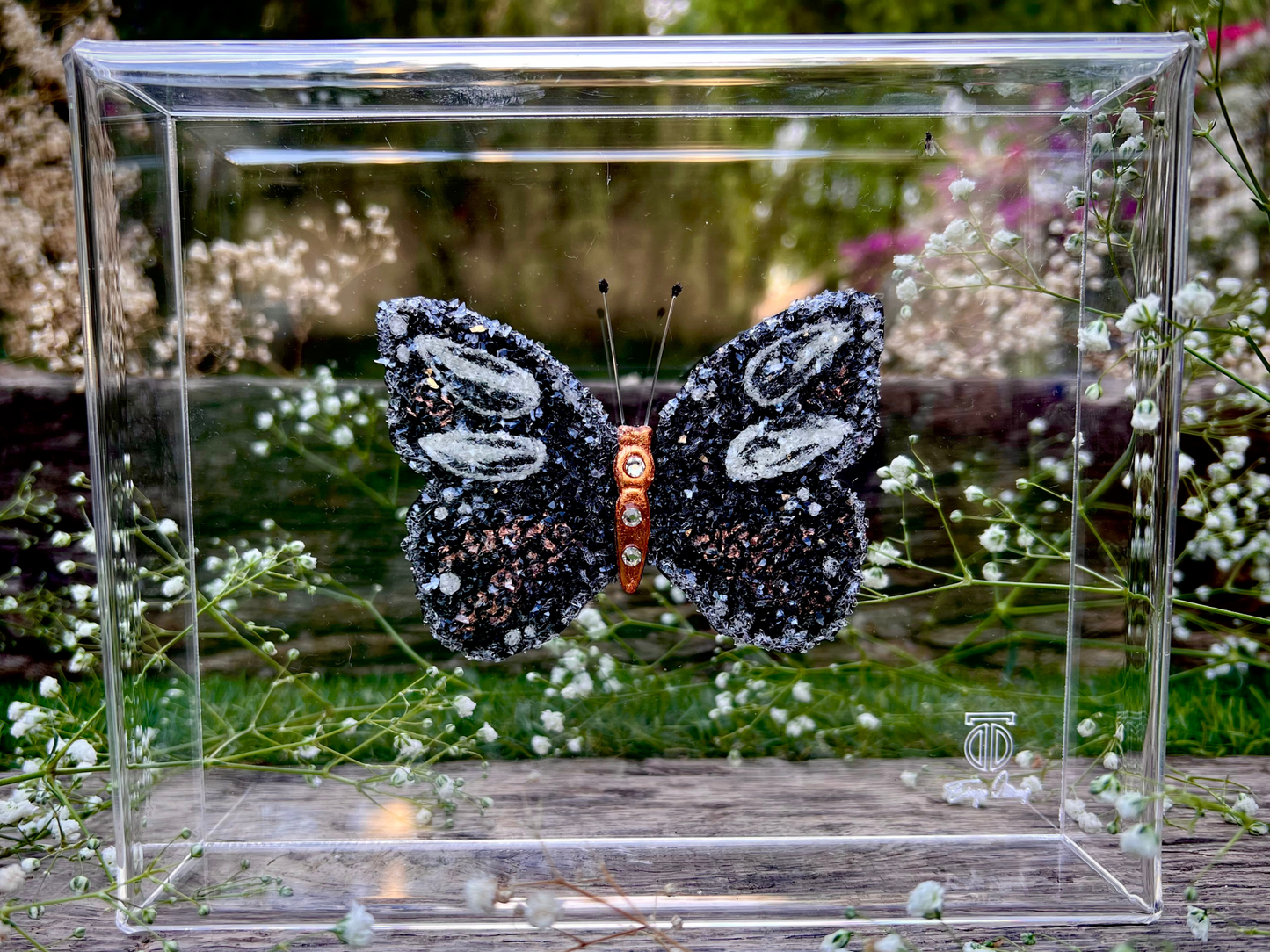 METAMORPHOSIS | #44
