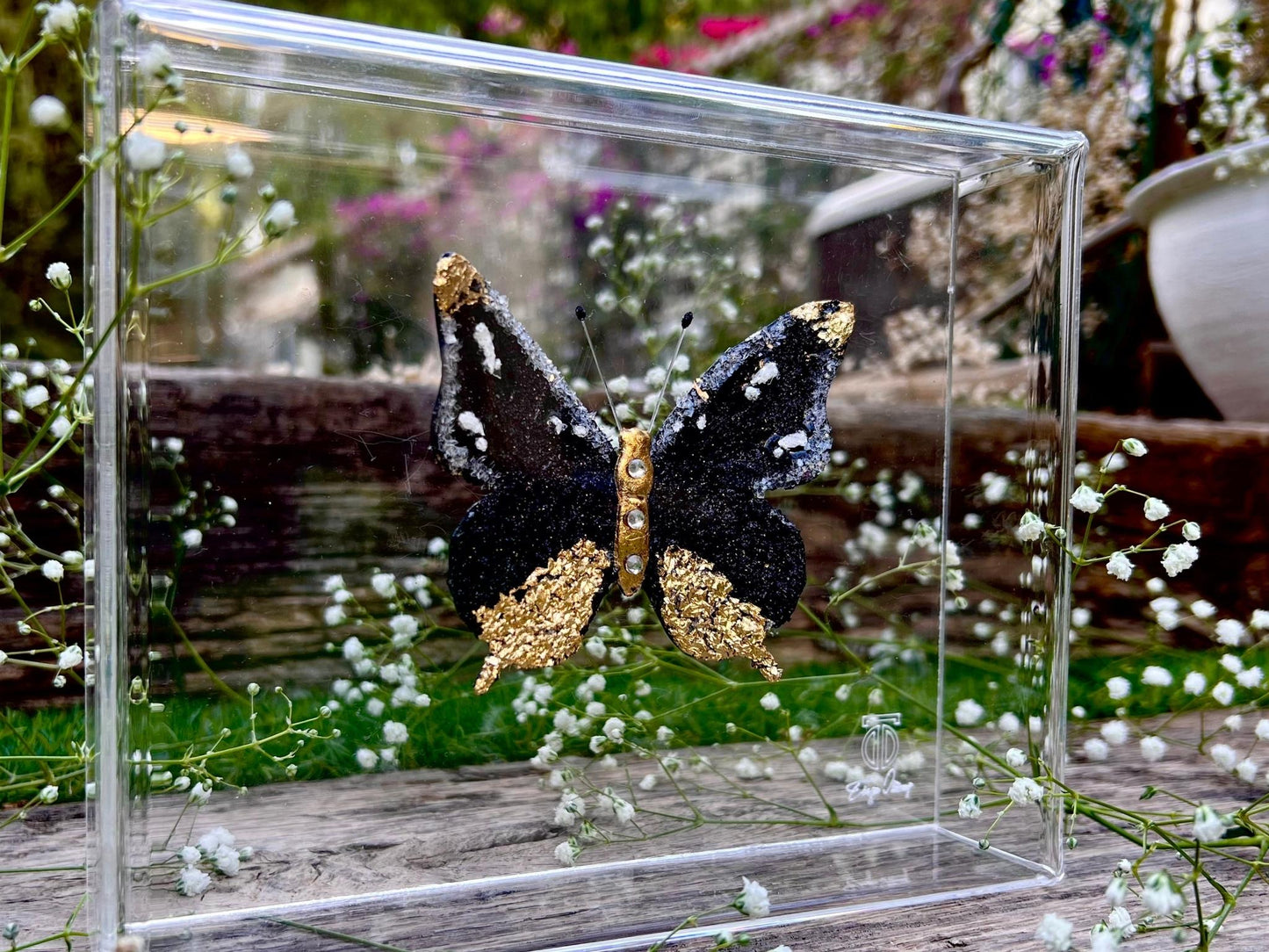METAMORPHOSIS | #11