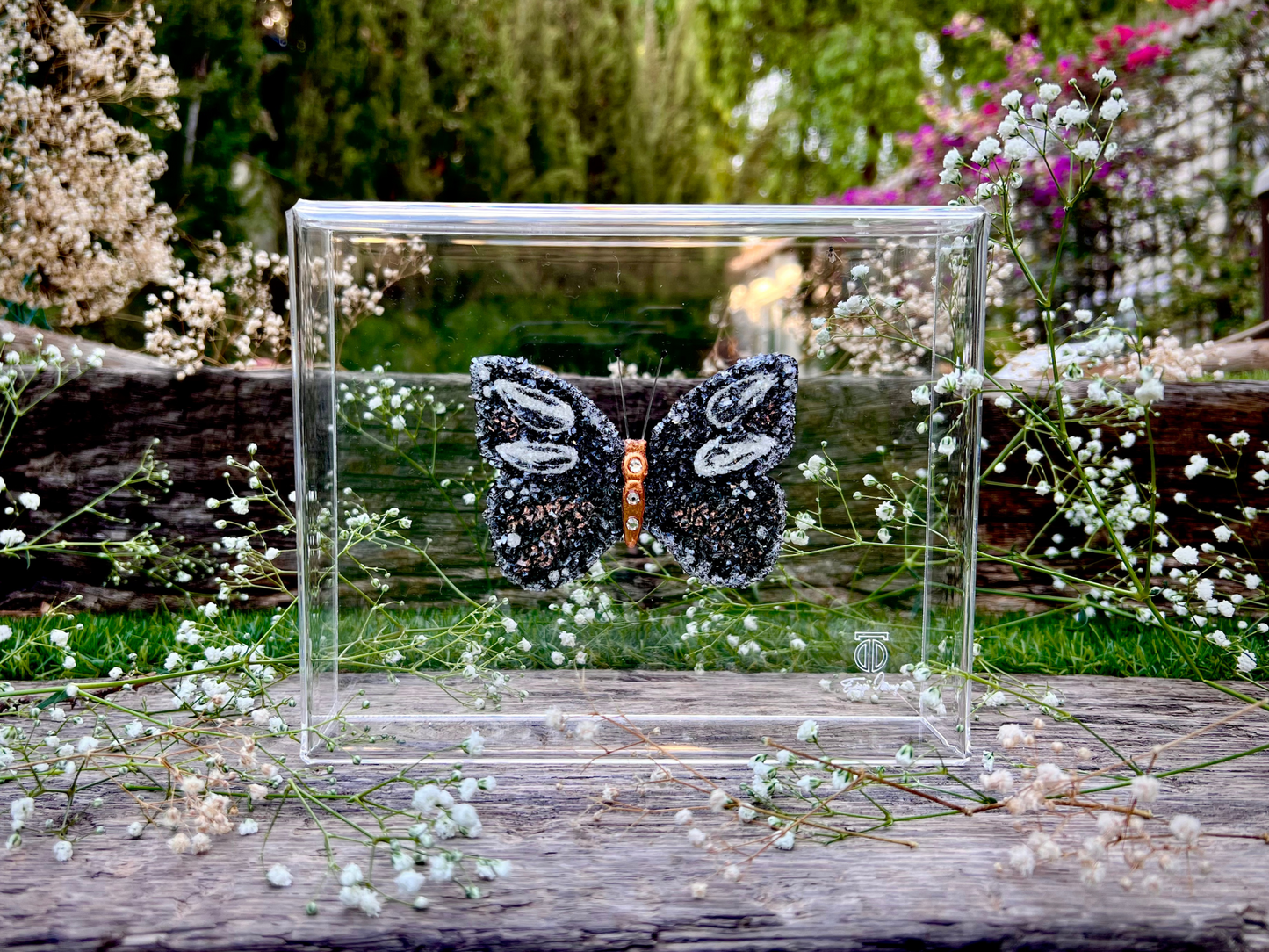 METAMORPHOSIS | #44