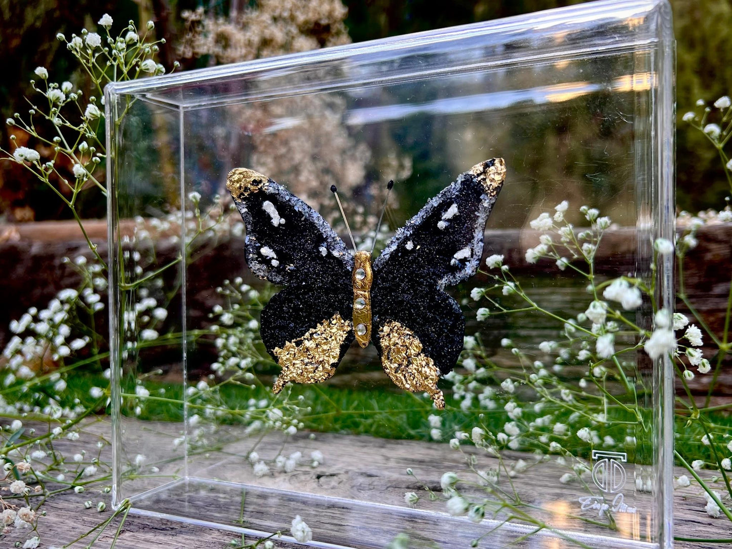 METAMORPHOSIS | #11