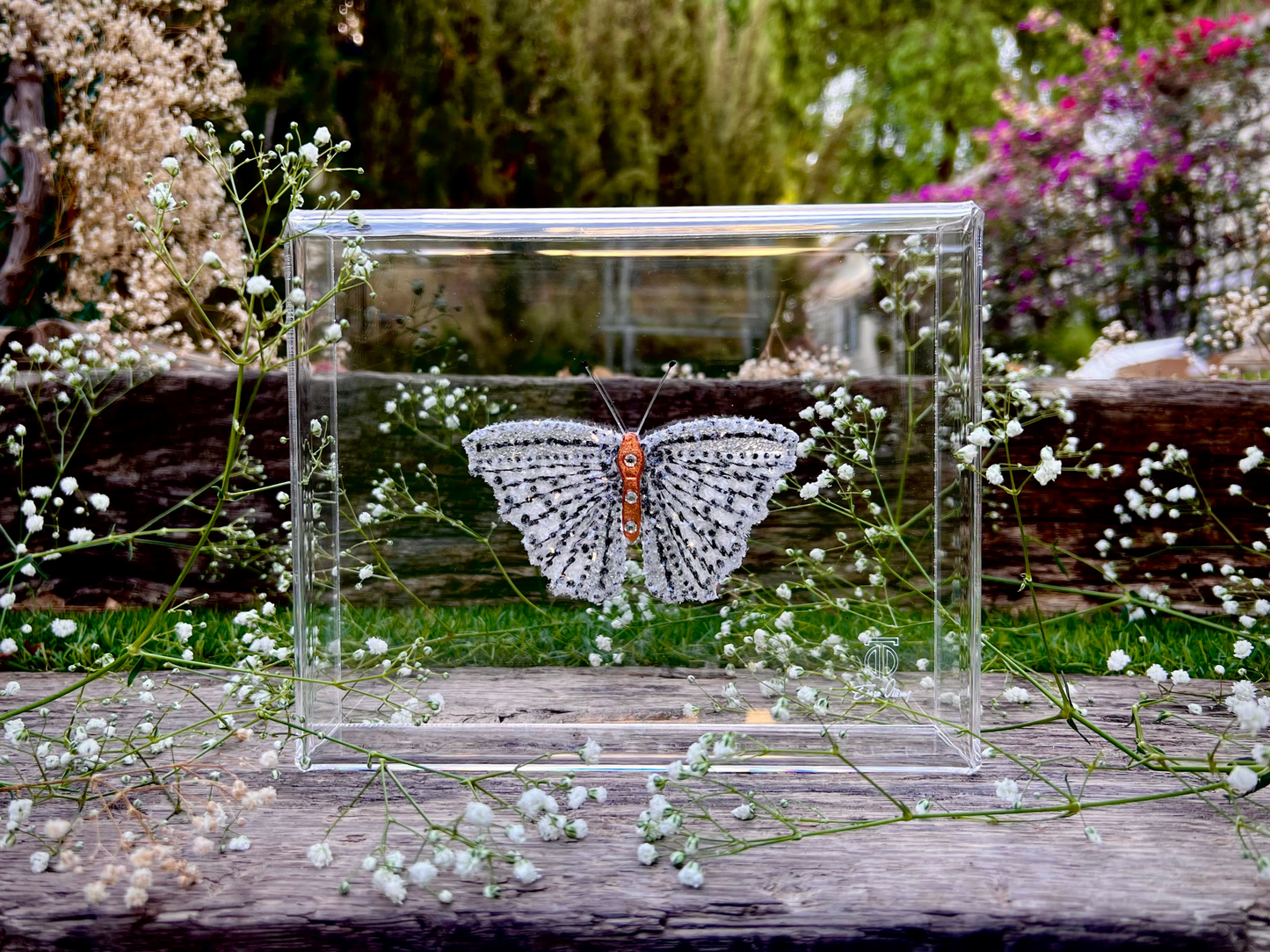 METAMORPHOSIS | #21