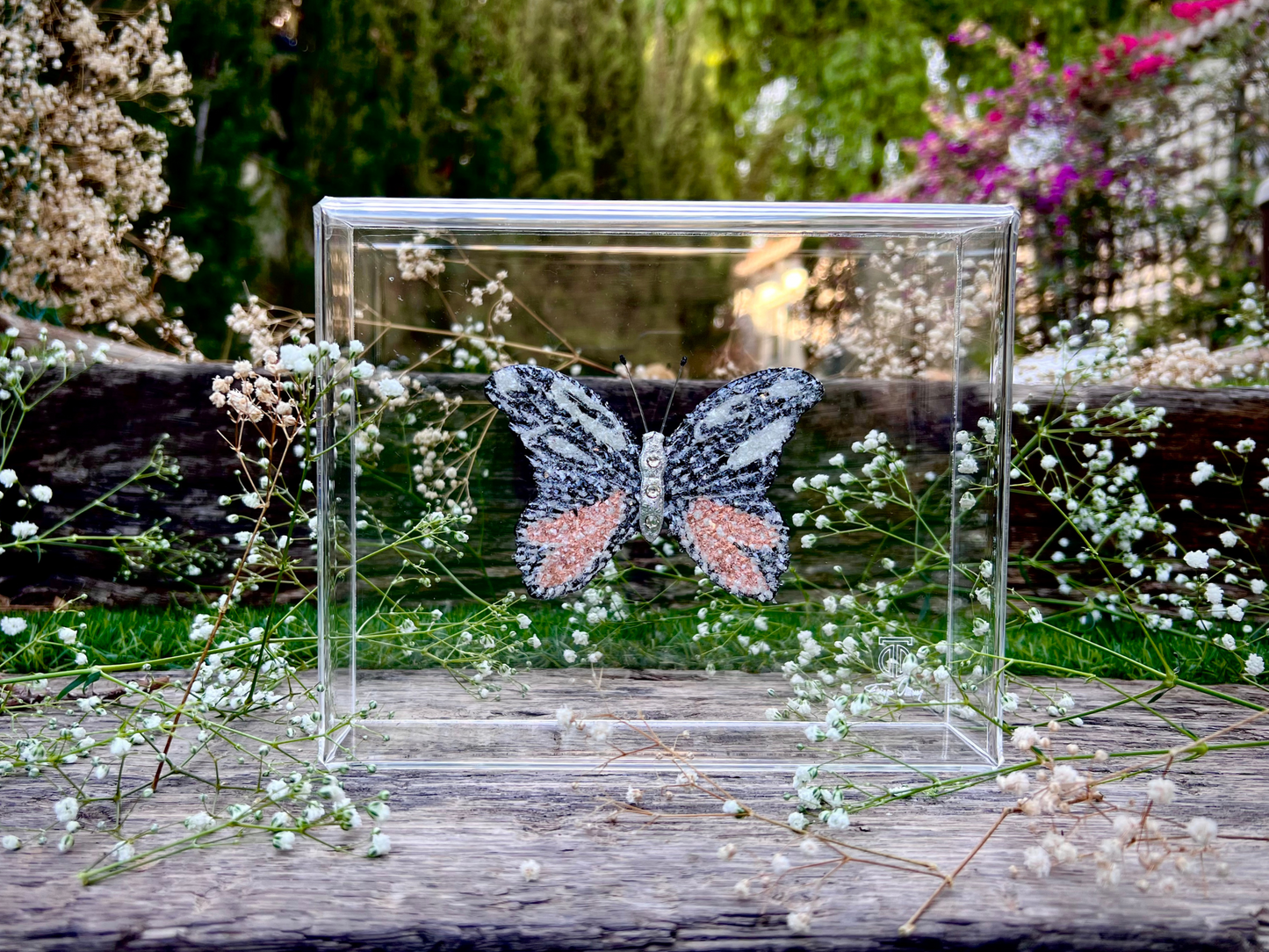 METAMORPHOSIS | #41