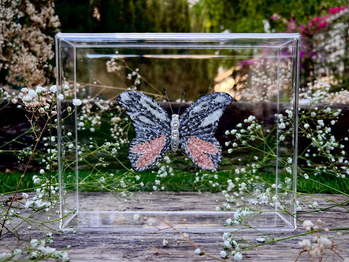 METAMORPHOSIS | #41