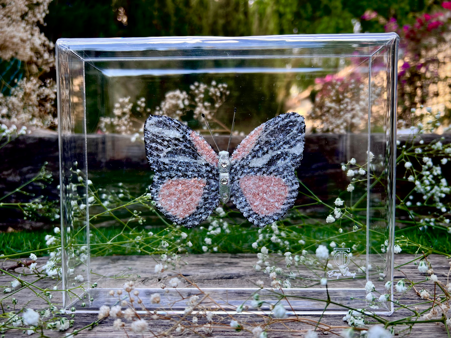 METAMORPHOSIS | #35