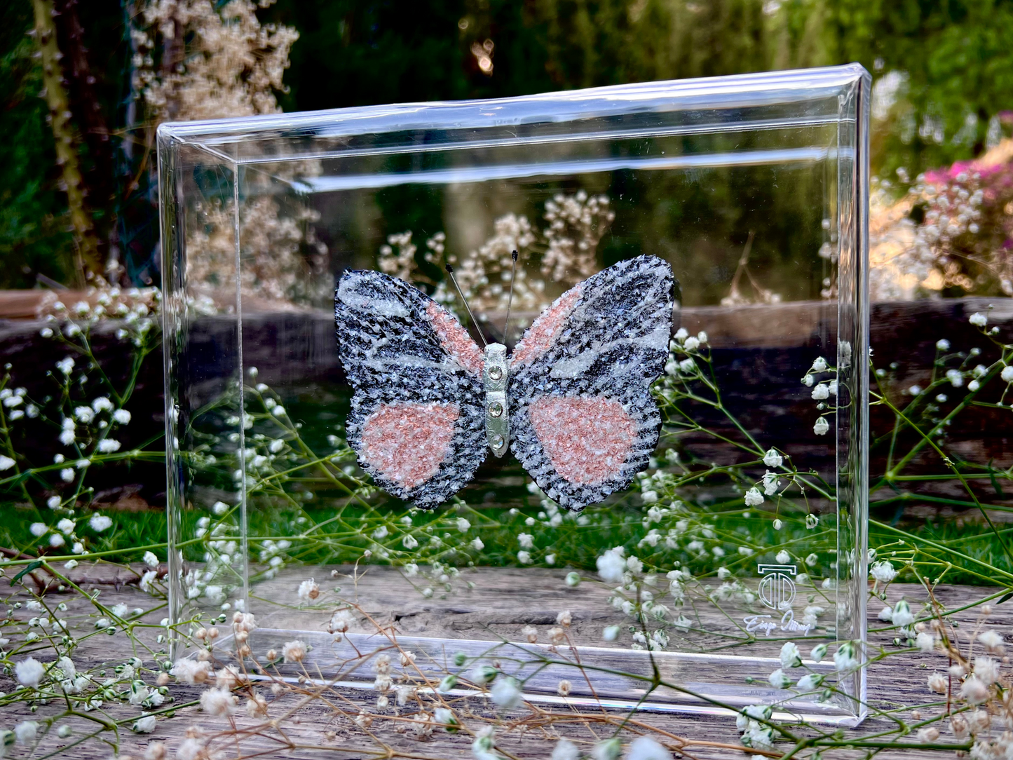 METAMORPHOSIS | #35