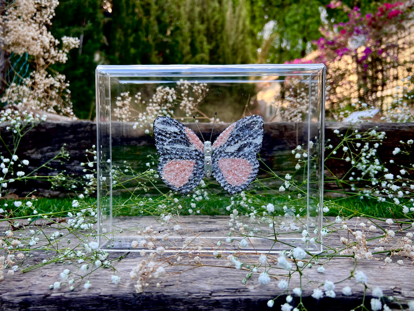 METAMORPHOSIS | #35