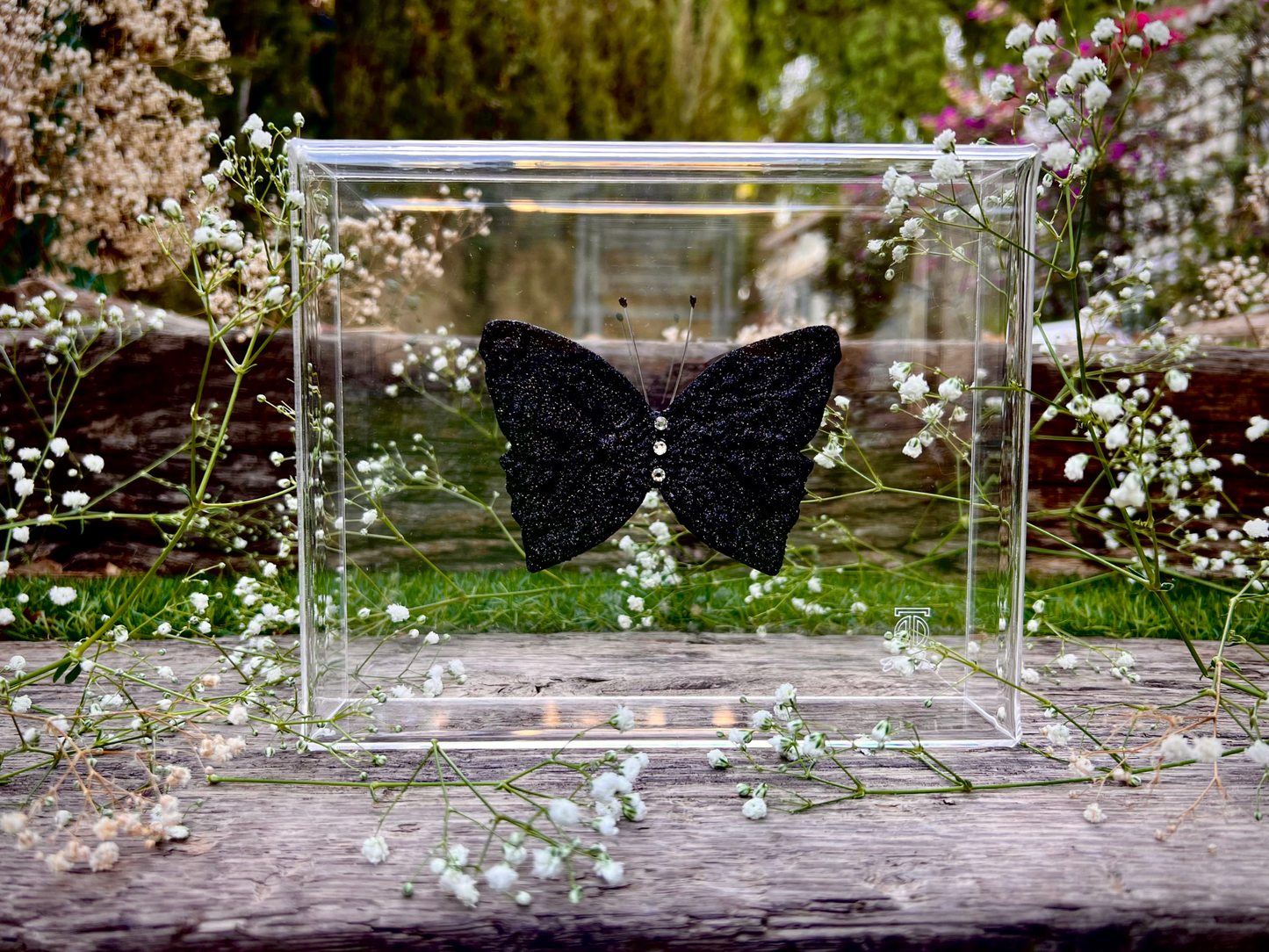 METAMORPHOSIS | #16