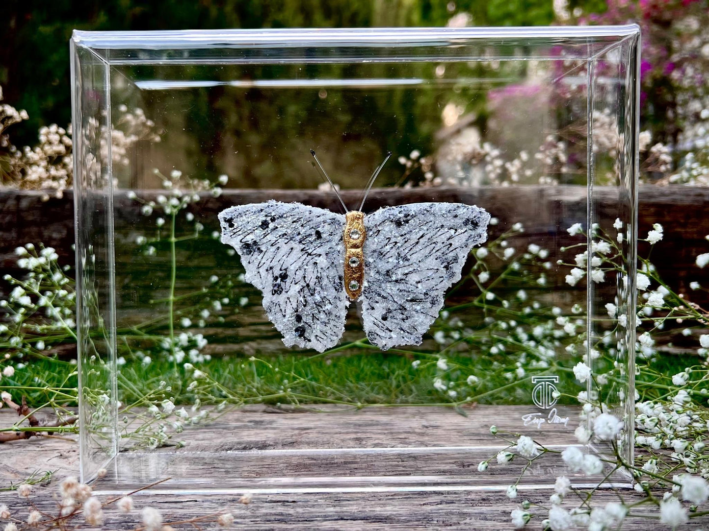 METAMORPHOSIS | #29