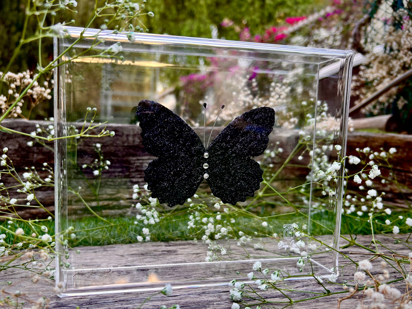 METAMORPHOSIS | #14