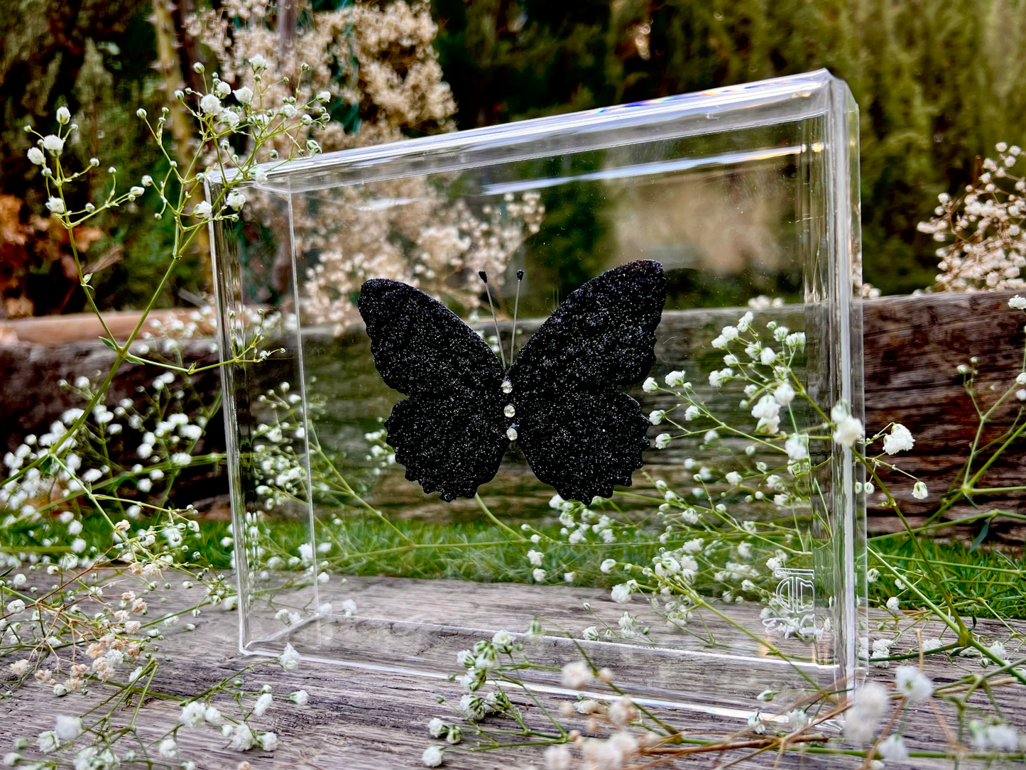 METAMORPHOSIS | #14