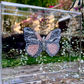 METAMORPHOSIS | #35