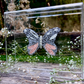 METAMORPHOSIS | #41