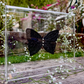 METAMORPHOSIS | #16